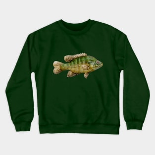 Sunfish Crewneck Sweatshirt